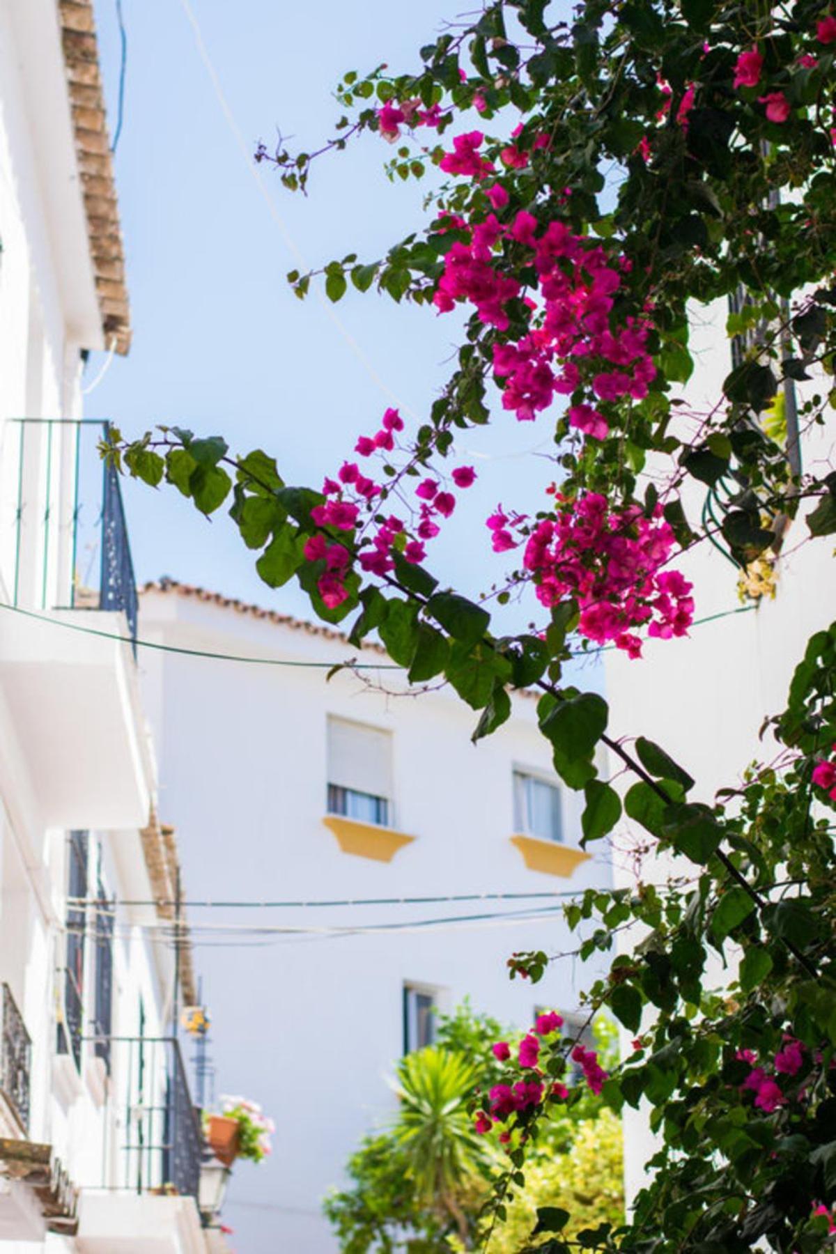 Superior 3Br Golfla Apartment Minutes From Puerto Banus & Marbella Málaga Exterior foto